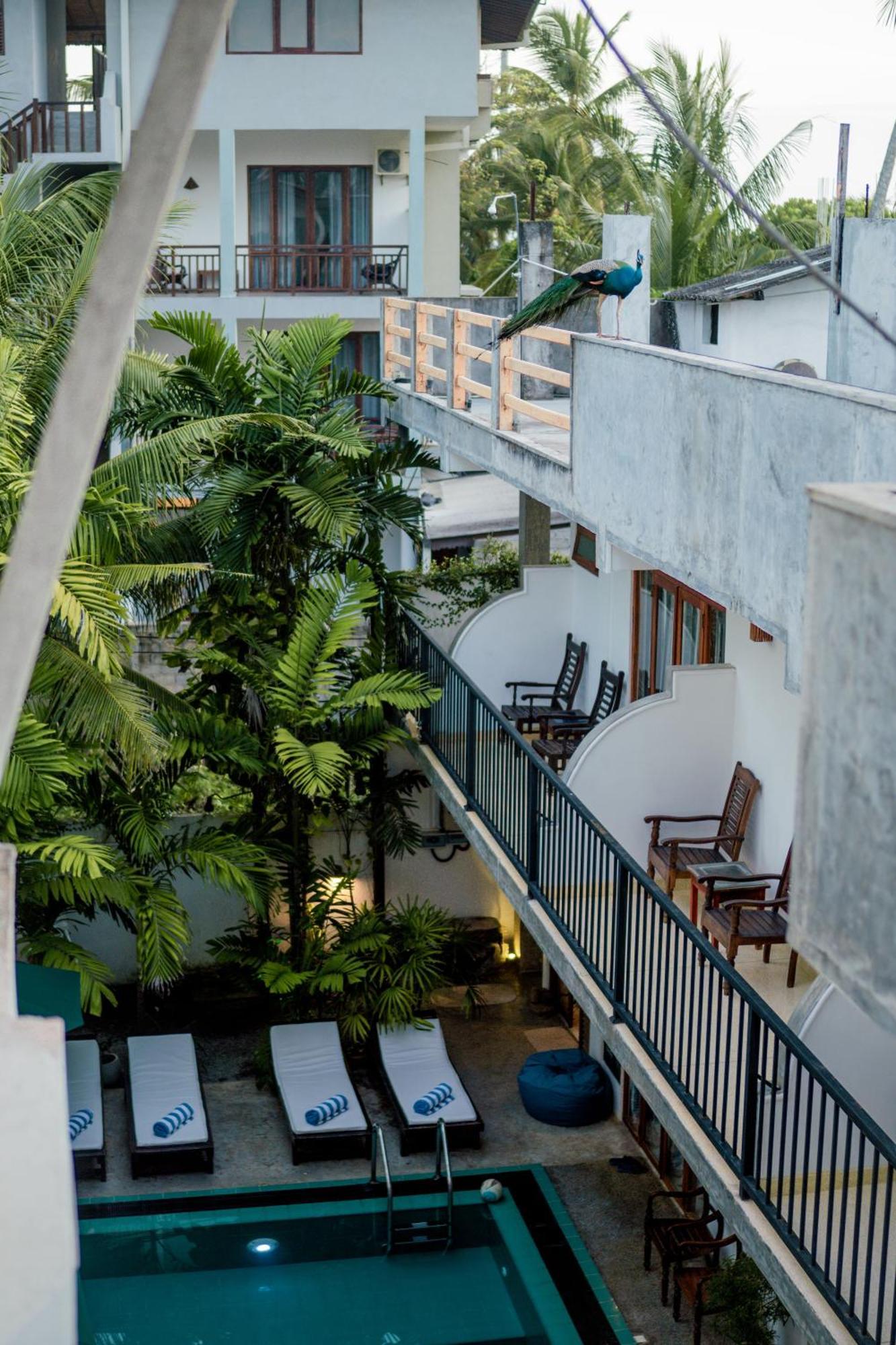 Bienvenido Cozy Madiha Hotel Matara Kültér fotó